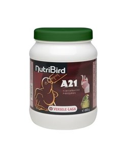 Nutribird a21 pasta para cría a mano de polluelos