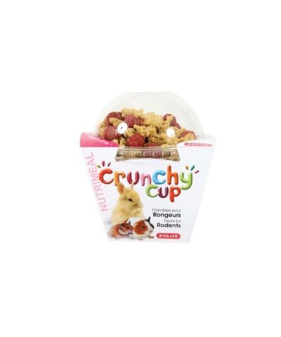 CRUNCHY CUP NUGGETS