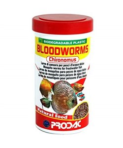 Bloodworms Chironomus