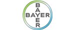 Bayer para gatos